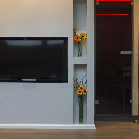 鲁克莱茵酒店 4* 莱茵