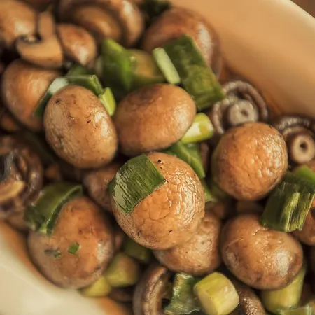 鲁克莱茵酒店 4* 莱茵