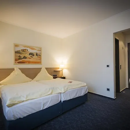 酒店 鲁克莱茵酒店 4*